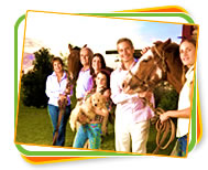 Haarlem Oil for your Family and Horses