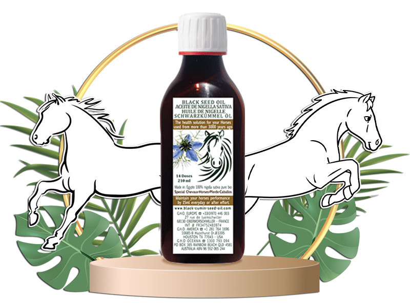 Aceite de Comino Negro Orgánico para Caballos – Botella de 210 ml