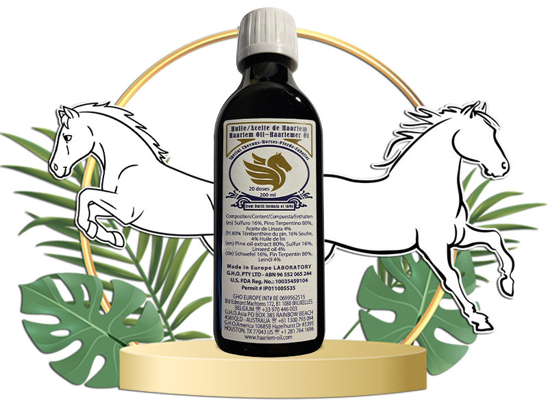Haarlem Oil for Horse - 200ml bottle GHO