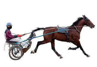 8 flaschen mit je 210ml (pro Flasche: 14 Dosen)